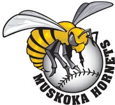Muskoka Hornets